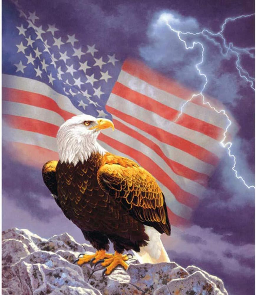 DIY Painting Paint by Number Kit for Kids Adults Students Beginner Canvas Painting by Numbers Acrylic Oil Painting Arts Craft for Home Wall Decoration Eagle with American Flag 16x20 Inch