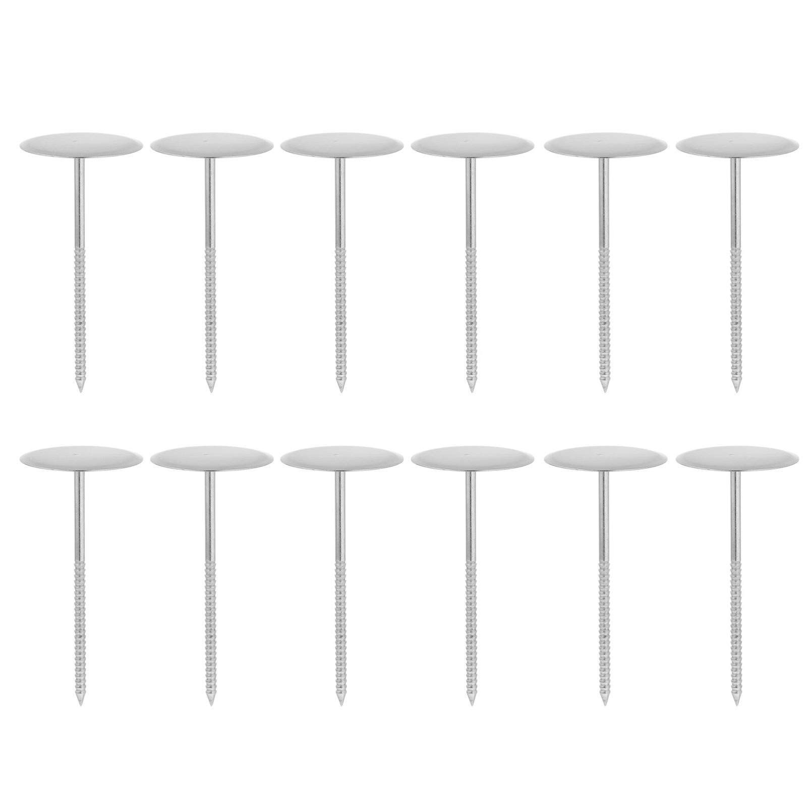 BESTonZON 12pcs Stainless Steel Flower Nail for Cake Decoration Creative Baking Tools for Pastry and Dessert Molding for Cupcakes Cookies and Pies