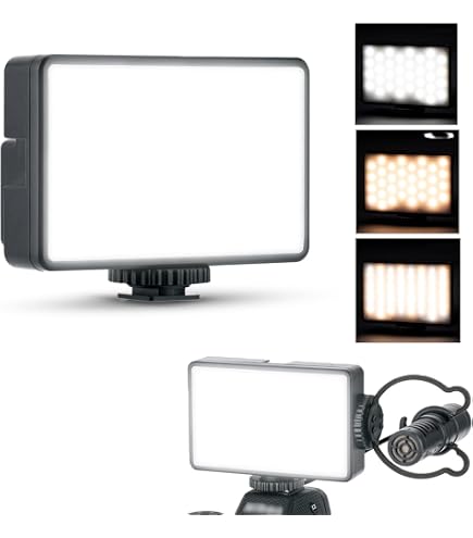 Amazon.com : Nikon LD-1000 LED Movie Light for Nikon 1 and COOLPIX