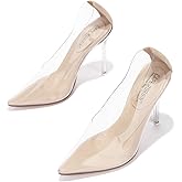 Women's Pointed Toe Clear Heels - Transparent Upper, 3.75 inch Lucite Heel & Genuine Leather Insole, Classy Pointy Pumps (Glass Doll.A)