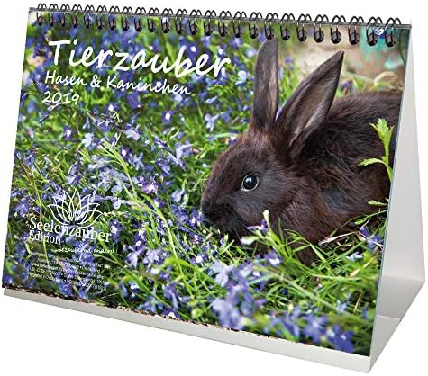 Magic Animals · Hare and Rabbits - 2019 Desktop Calendar - 21.0cm x 16.3cm · Pet · Nature · Animals · Magic Core Edition