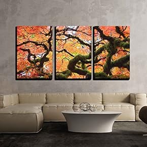 3 Piece Canvas Wall Art - Gnarly Japanese Maple Tree - Modern Home Art Stretched and Framed Ready to Hang - 16"x24"x3 Panels