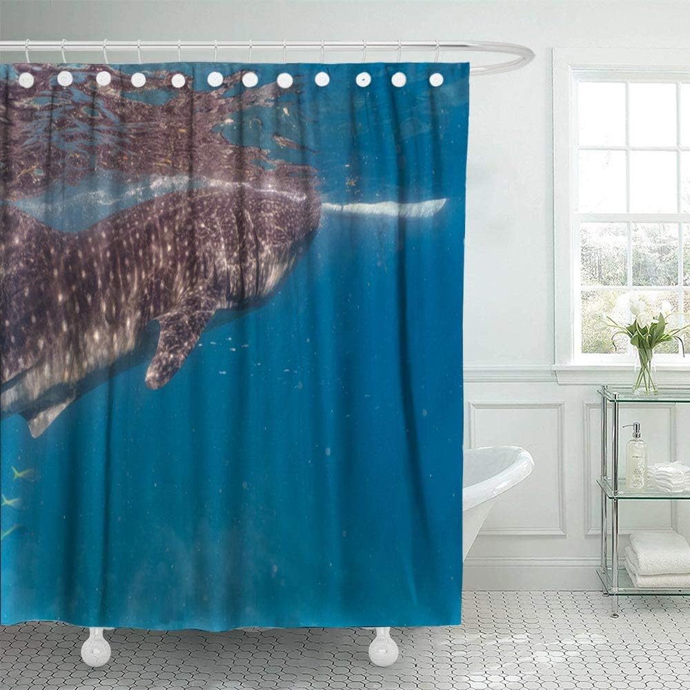 Jacrane Christmas Home Decor, 72x72 inch Waterproof Christmas Shower Curtains Whale Shark Watching in Closeup Cebu Fed Krill Indoor Christmas Decorations