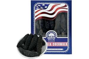 DABC OAK LAND DOL Wild Caught,Sun Dried Atlantic Black Pin Sea Cucumber 30-40pcs 7-9 Years, All Natural Nutritious,大西洋岩刺參 小黑刺海參 30-40头 - in box (Large 8oz/box)