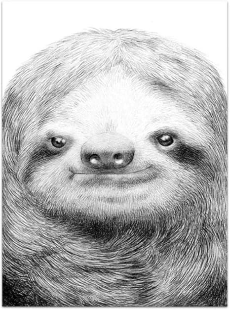 Amazon Chenjiaxu 抽象黒と白のナマケモノかわいい動物ポスターhdプリントキャンバス絵画素敵な保育園の赤ちゃんの部屋の装飾壁アート写真50x70センチフレームなし アートフレーム ポスター オンライン通販