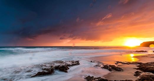 Wzzpsd Rompecabezas 1000 Piezas Paysage Coucher De Soleil De