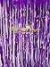 ShinyBeauty Tinsel Foil Fringe Curtain-3FTX8FT-Purple Door Window Curtain/Backdrops Party Decoration (Purple)