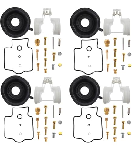 Amazon.com: 0201-023 Carburetor Rebuild Repair Parts Kit