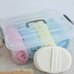 Kekow 2-Pack Clear Storage Latch Box, Plastic