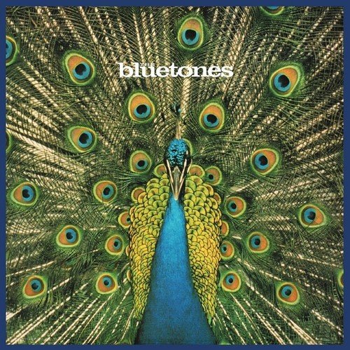 Bluetones - Bluetonic Lyrics - Zortam Music