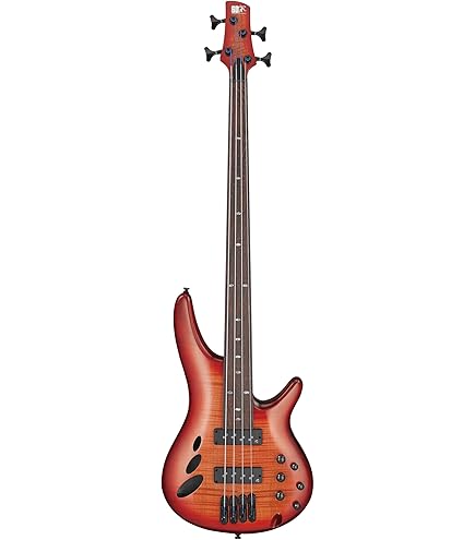 Amazon.com: Ibanez SRH500F Fretless Bass Guitar - Natural Browned
