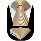 HISDERN Mens Ties Solid Color Ties for Men Formal Necktie with Pocket Square Set Satin Silk Neck Tie Handkerchiefs Set