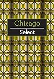 Insight Guides Chicago by Insight Guides front cover