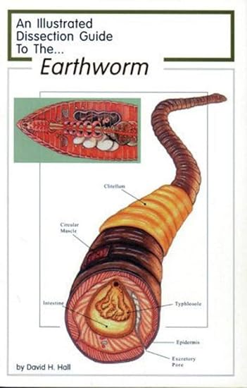 Frey Scientific 597003 Mini Guide To Earthworm Dissection Industrial Scientific Amazon Com