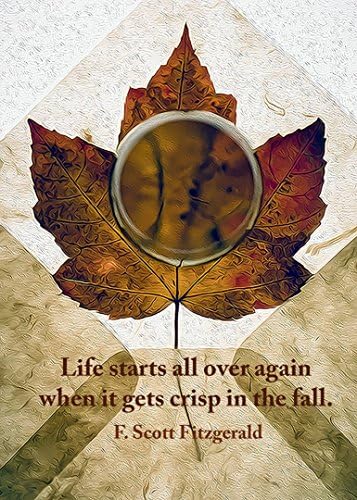 F. Scott Fitzgerald Quote, Autumn Leaf and Crystal Ball Macro Photograph, Macro Maple Leaf, Rice Paper Envelope, Still Life Photography