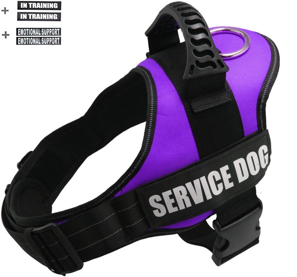 service dog harness purple