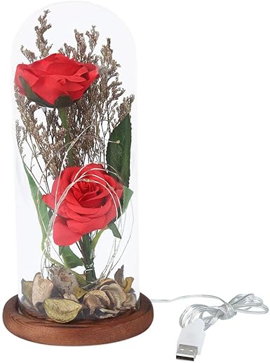 Amazon Com Kit De Rosas Rojas De Belleza Y La Bestia Con Petalos Caidos En Cupula De Cristal Sobre Base De Madera Regalo Gratis Clothing kit de rosas rojas de belleza y la bestia con petalos caidos en cupula de cristal sobre base de madera regalo