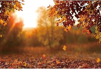 Amazon Com Yongfoto 7x5ft Autumn Sunset Bokeh Photography Backdrop Yellow Maple Trees Fallen Leaves Background Interior Decorations Kids Adult Artistic Portrait Photo Shoot Studio Props Wallpaper Camera Photo