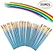 Paint Brush Set, 36 pcs Nylon Hair Brushes for Acrylic Oil Watercolor Painting Artist Professional Painting Kits