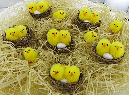 Multi Coloured Assorted Cheerful Fluffy Easter Baby Chicks, Confetti, Balloons For Party Decorations - Colours: Pink, Yellow, Blue and Green - Happy Easter Decorations, Kids, Chocolate, Eggs, Bunnies Fun, Family Day, Easter Egg Hunt, Tweek, Hens (6 Nests with Chicks and Eggs)