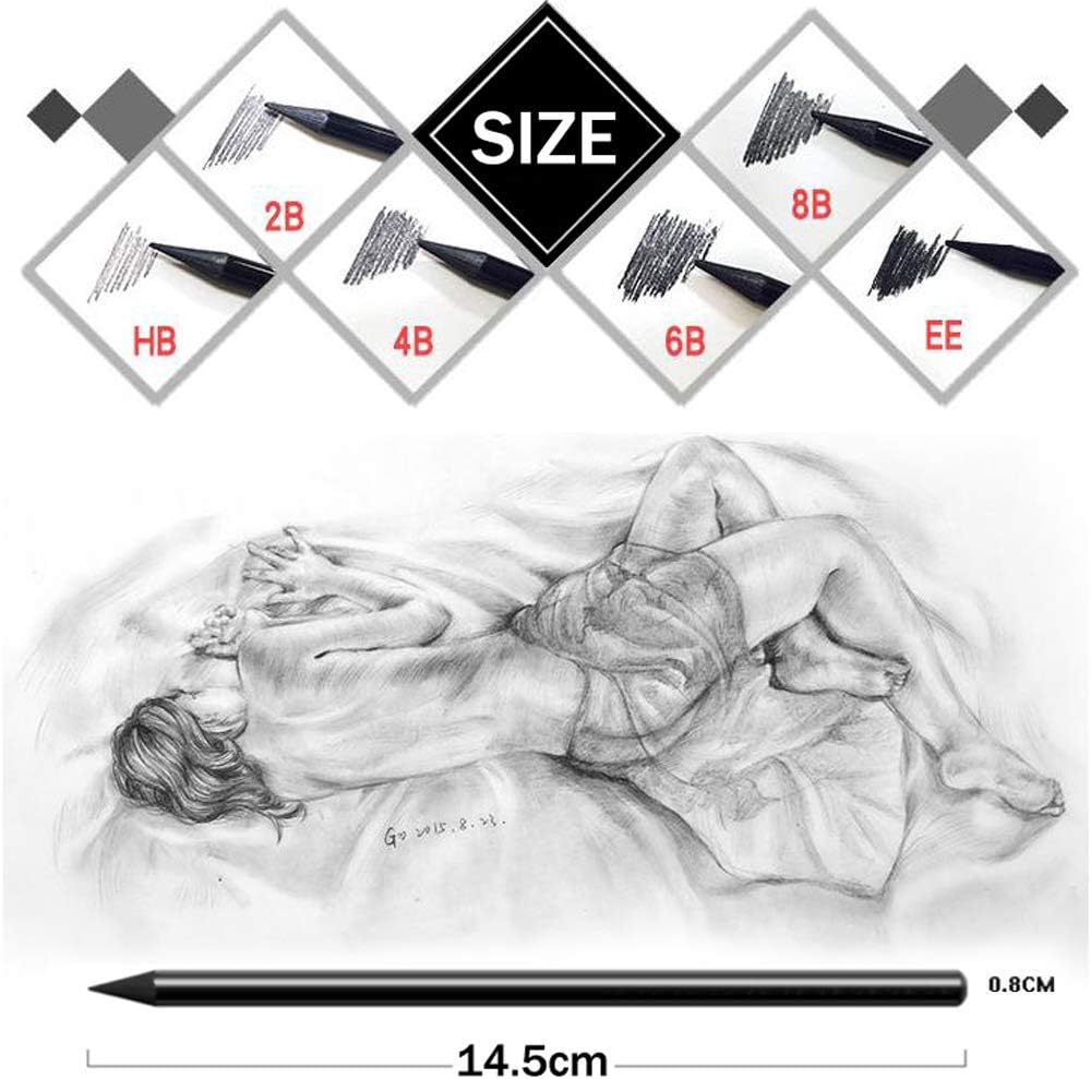Woodless Charcoal Pencils Set,6 Pcs Professional Pure Carbon Sketch Pens Assorted HB 2B 4B 6B 8B EE Pencil for Drawing Sketching Painting Students Artist Beginners Kids - Image 3