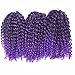 3pcs/Pack 10'' Afro Kinky Twist Hair Crochet Braids Ombre Purple Braiding Hair Synthetic Marlybob Curly Crochet Hair Pieces (T1B/PUR)