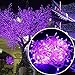 Autolizer 200 LED Purple Fairy String Lights Lamp for Xmas Tree Holiday Wedding Party Decoration Halloween Showcase Displays Restaurant or Bar and Home Garden - Control up to 8 Modes