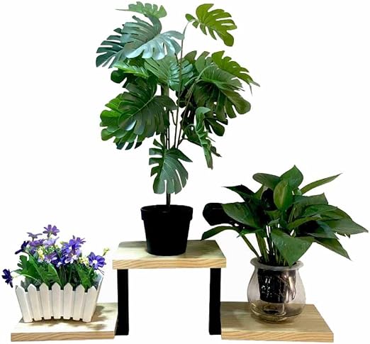 Soporte de exhibición de la flor de la planta Soporte de flores ...