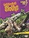 Let's Look at Sloths (Lightning Bolt Books ® ― Animal Close-Ups)