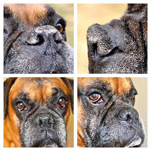 natural dog snout soother