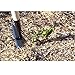 Rogue Hoe 60 Inch Ash Long Handle 6 Inch 3 Sided Scuffle Gardening Hoe Tool
