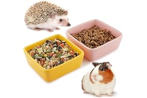 DQITJ 2 Pcs Pet Ceramic Food Bowl and Water Dish Feeder for Guinea Pig Hedgehog Squirrel Small Animals