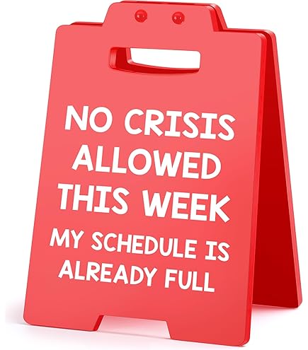 Amazon.com: Funny Office Desk Accessories for Work, Christmas