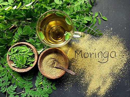 Wohltuer Bio Moringa Pulver in Rohkostqualität | Moringa oleifera | Bio Moringablätter gemahlen (500g) – Bild 5