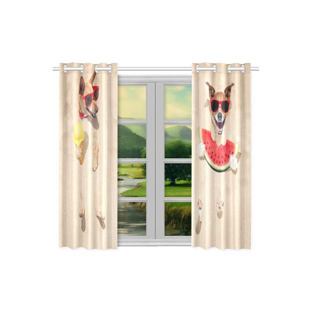 Bad Jochuan Lustige Paar Hunde Begraben Sand Strand Kuche Vorhange