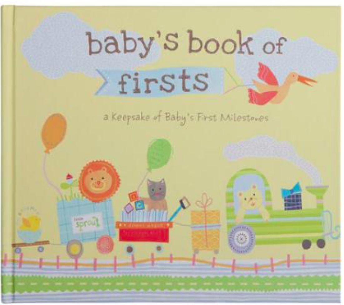 stepping stones baby's first memory book