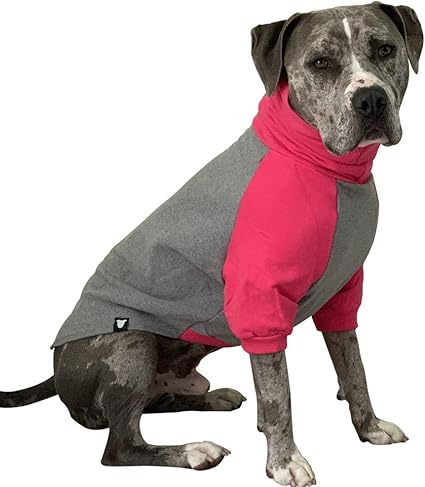 Xxl dog sweaters cheap Clearance
