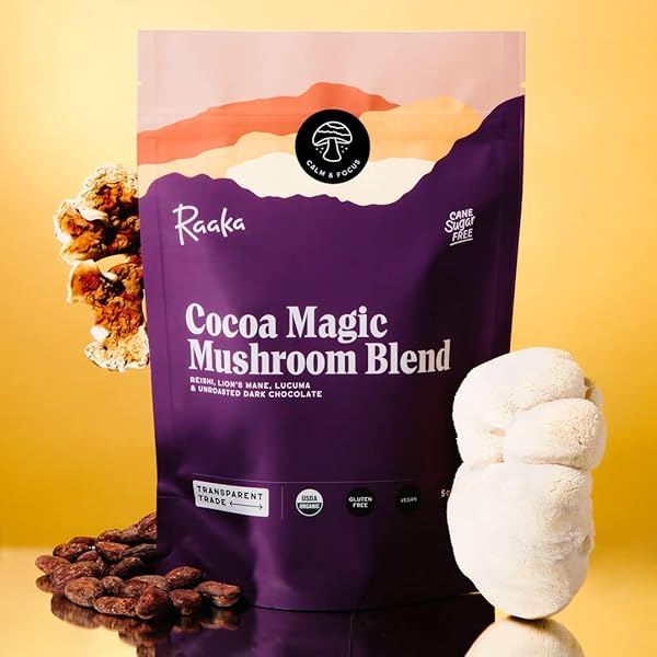RAAKA COCOA MAGIC MUSHROOM HOT CHOCOLATE BLEND WITH LION’S MANE, REISHI AND LUCUMA – GOURMET ADAPTOGENIC MUSHROOM HOT CHOCOLATE – ORGANIC, VEGAN, LOW SUGAR, GLUTEN FREE, KOSHER – 5 OZ. BAG (8 SERVINGS)