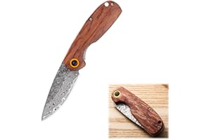 Lqucwepp Pocket Knife Keychain,Tactical Survival Small Knife, Compact Tool for Hunting, Fishing, Hiking, And Outdoor Adventur