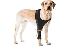 Pawfun Dog Recovery Sleeve for Front Leg– Single Dog Leg Sleeve to Stop Licking– Breathable Protection for Joint Pain, Elbow Injuries, Hot Spots, Surgery, Wound Care as Cone Alternative(Right,2XL)