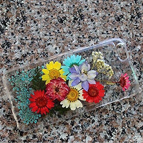 Rebbygena Smart Phone Case for iPhone 6/6s Unique Custom Daisy Real Flower iPhone Mobile Case and Covers 4.7 inch