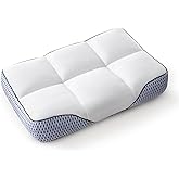 Glaciman Shredded Memory Foam Pillow for Side & Back Sleepers - Firm Ergonomic Pillow for Neck Pain Relief - Machine Washable, Breathable Cooling Mesh Gusset, Queen/Standard (15"x25"x4"), Pack of 1