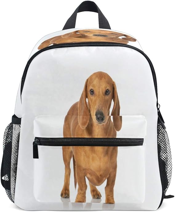 Brown Teckel Dog Dachshund School Backpack For Boys Kids