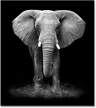 Amazon Com Inzlove Large Size Modern Animal Painting Black And