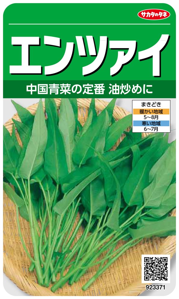 サカタのタネ 実咲野菜3371 エンツァイ 00923371商品画像