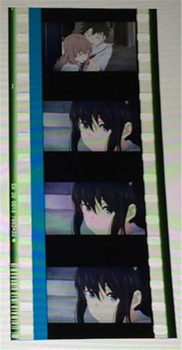 Amazon 聲の形 入場者特典 フィルム 植野直花 西宮硝子 横顔アップ アニメ 萌えグッズ 通販