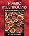 Magic Mushrooms in Religion and Alchemy by Clark Heinrich