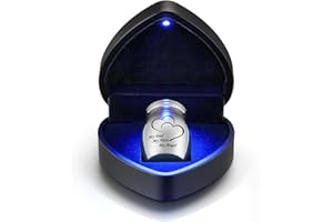 Dletay 1.57 Inches Small Cremation Keepsake Urns for Human Ashes with Heart Box Mini Cremation Urn Small Funeral Urns for Ashes Stainless Steel Funeral Urn-My Dad My Hero My Angel