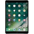 Apple iPad Pro 10.5in - 256GB Wifi - 2017 Model - Gray (Renewed)