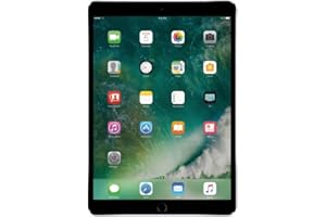 Apple iPad Pro 10.5in - 256GB WiFi - 2017 Model - Gray (Renewed)